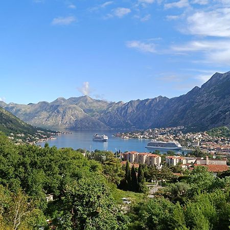 Radgost Kotor Apartments Экстерьер фото