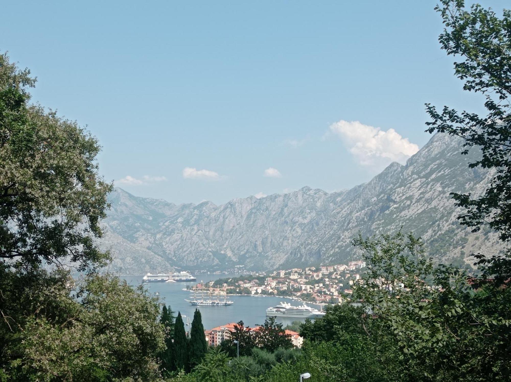 Radgost Kotor Apartments Номер фото