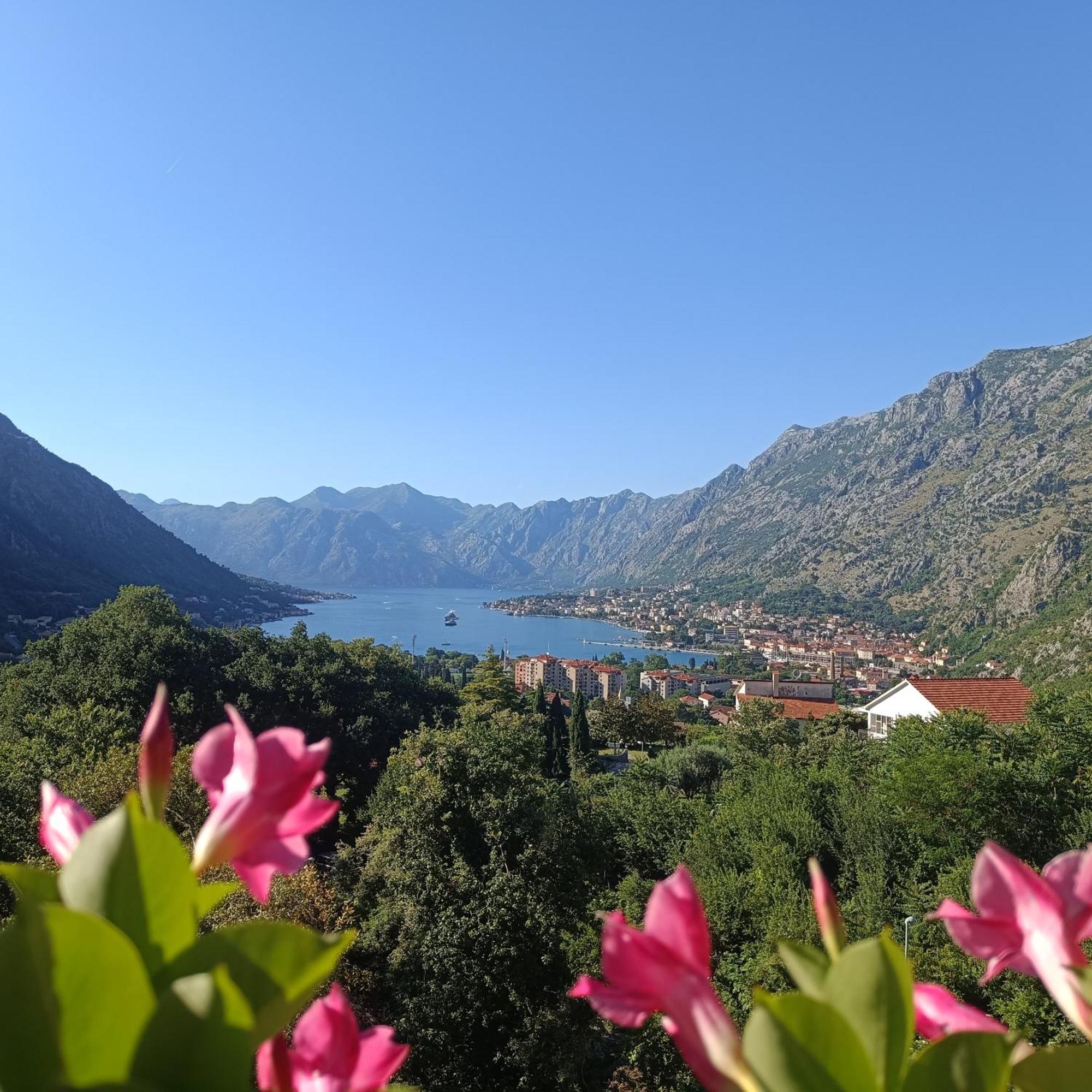 Radgost Kotor Apartments Экстерьер фото
